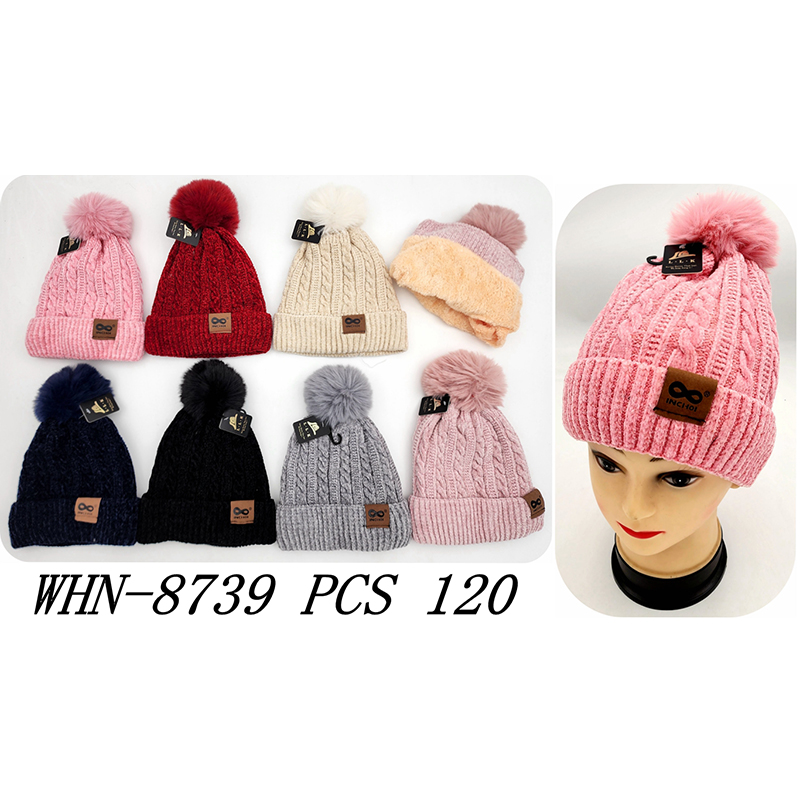 WHN-8739 CS120